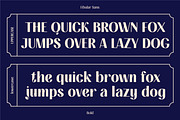 FIBULAR SANS - Variable Display Type, a Sans Serif Font by Artflorara (Thumbnail 14 of 23)