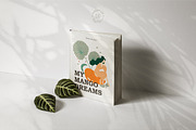 Gentle Tropics graphic kit, a Decorative Illustration by Dinkoobraz (Thumbnail 6 of 17)