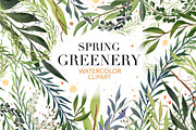 Greenery Watercolor Clipart, a Decorative Illustration by NKTKNS (Thumbnail 1 of 7)