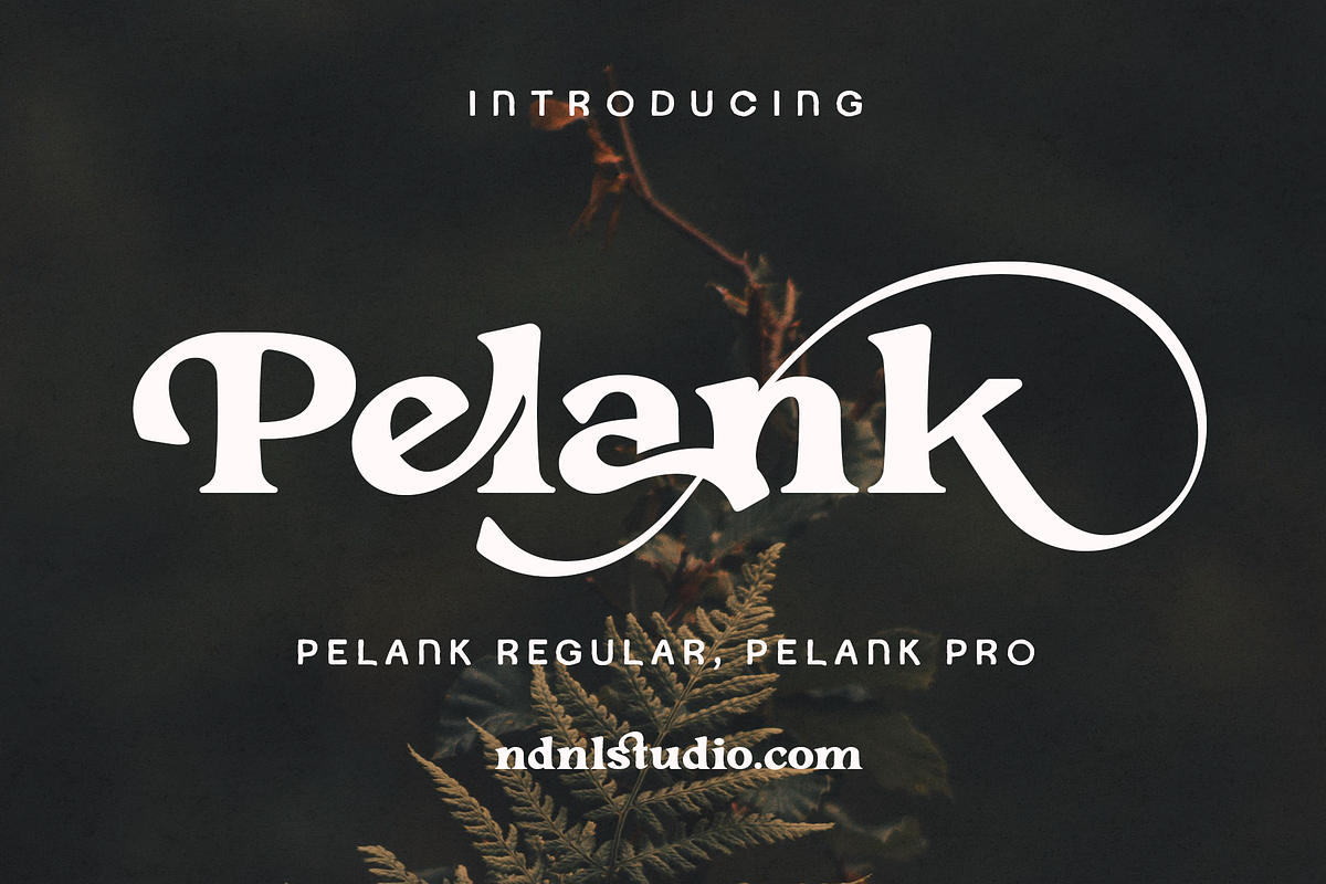 Pelank – Serif Font, a Serif Font by NDNL Studio (Photo 1 of 11)