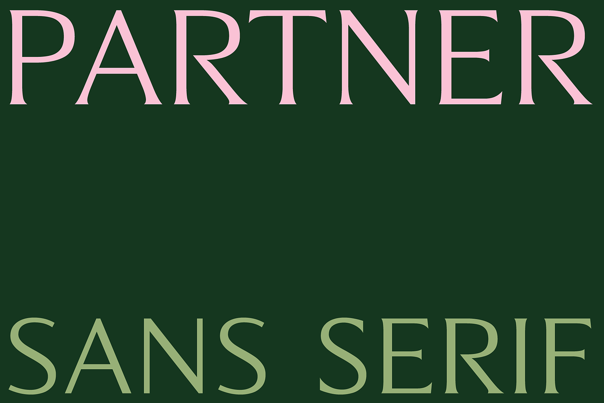 Partner, a Sans Serif Font by Sudtipos (Photo 1 of 7)