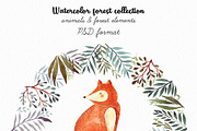 Watercolor autumn collection, an Animal Illustration by MoleskoStudio (Thumbnail 5 of 10)