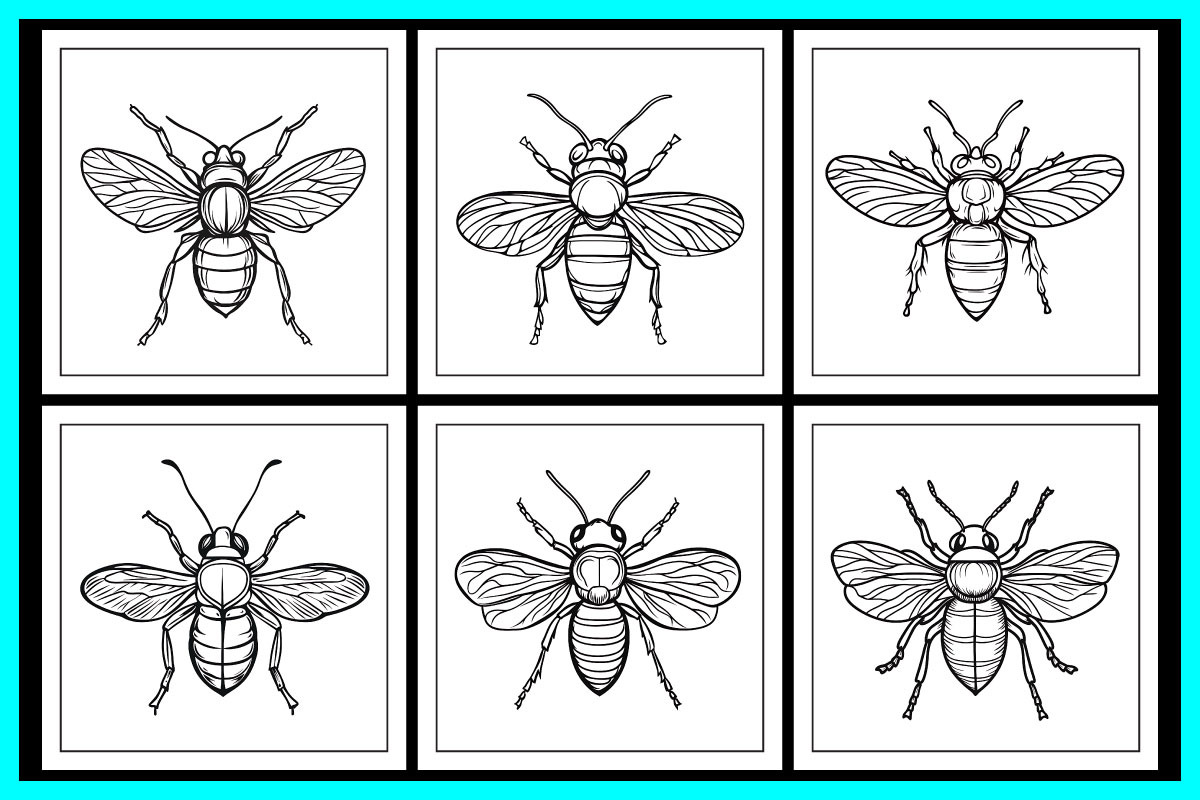 Insect Coloring Pages, an Animal Illustration by protabsorkar11 (Photo 3 of 5)