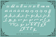 Madena Parlling - Bold Script Font, a Script Font by StringLabs (Thumbnail 12 of 14)
