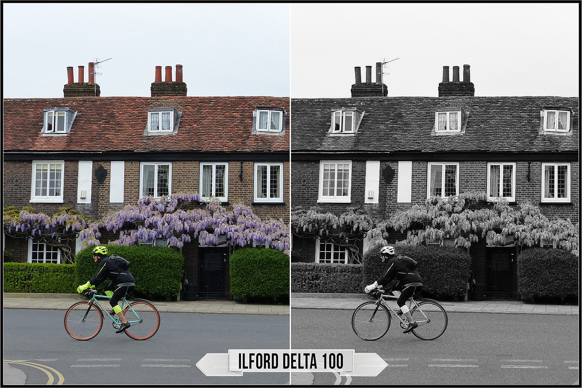 Ilford Films LUTs, a Plug-in Add-On by Raztrend (Photo 27 of 30)