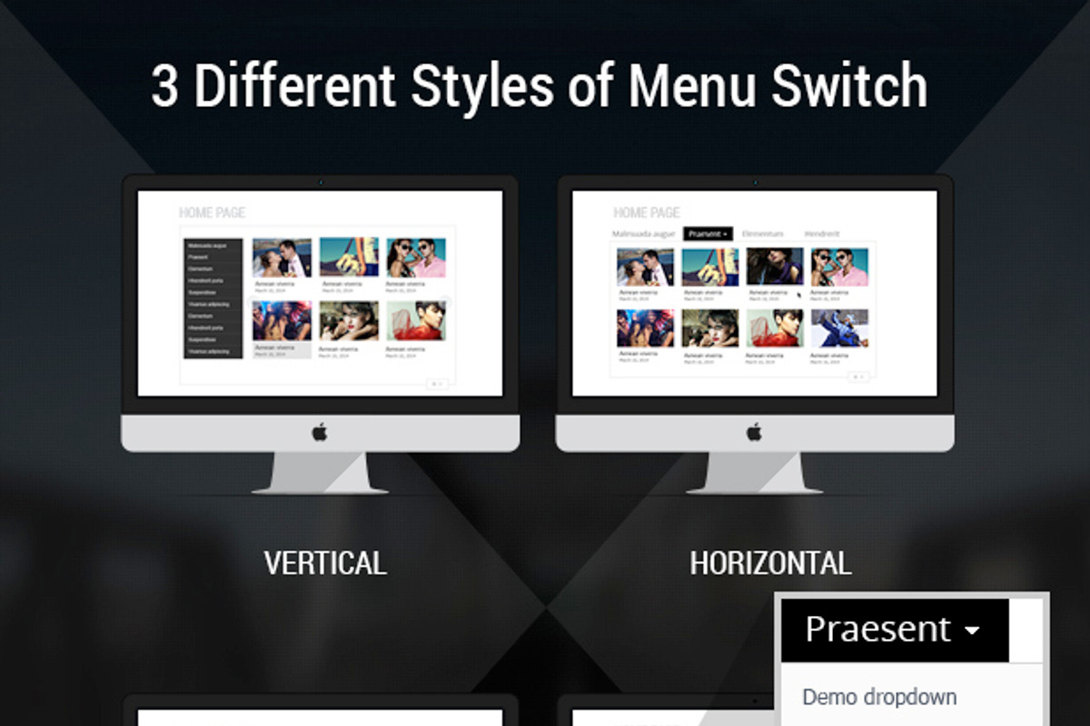 Free Responsive Category Slider, a WordPress Template by Digipieces (Photo 3 of 5)
