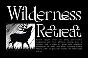 Theatrical Blending - Elegant Font, a Serif Font by 177Studio (Thumbnail 3 of 8)