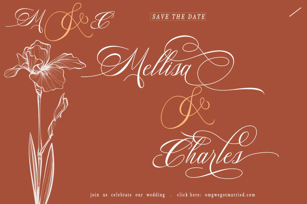 Bolivia Script, a Script Font by Madjack.font (Photo 3 of 9)