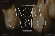 Anora Carmeo | Display Elegant Serif