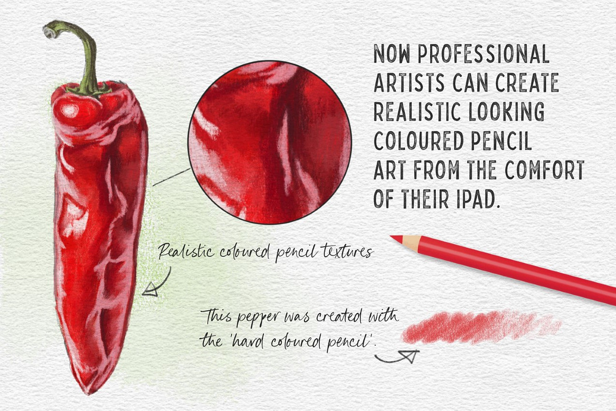 Coloured Pencil Artist - Procreate, a Brush Add-On by SketchWerx (Photo 4 of 11)