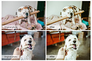 Lovely Pets Lightroom Presets, an Action Add-On by DreamColor (Thumbnail 6 of 10)