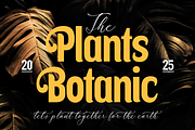 Askenild Kimortega Modern Font Duo, a Serif Font by Storytype Studio (Thumbnail 3 of 14)
