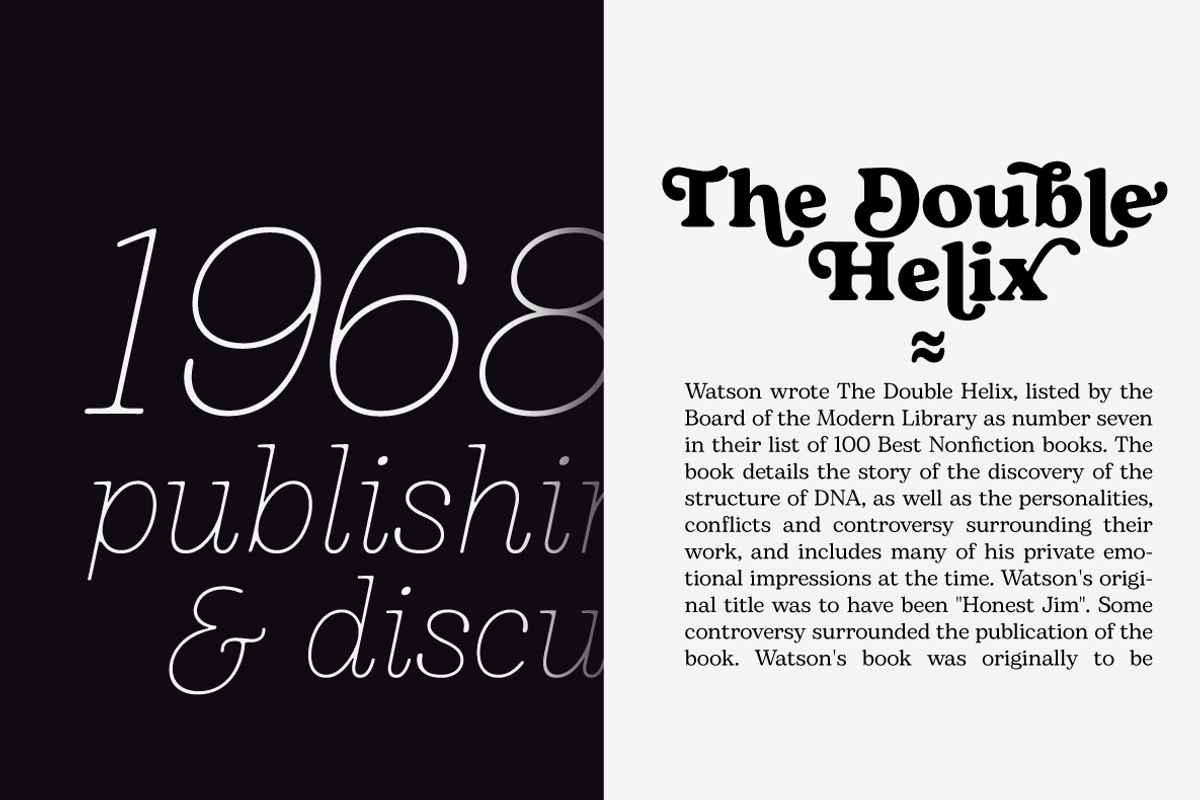 Bogart - 28 fonts, a Serif Font by Zetafonts (Photo 8 of 16)