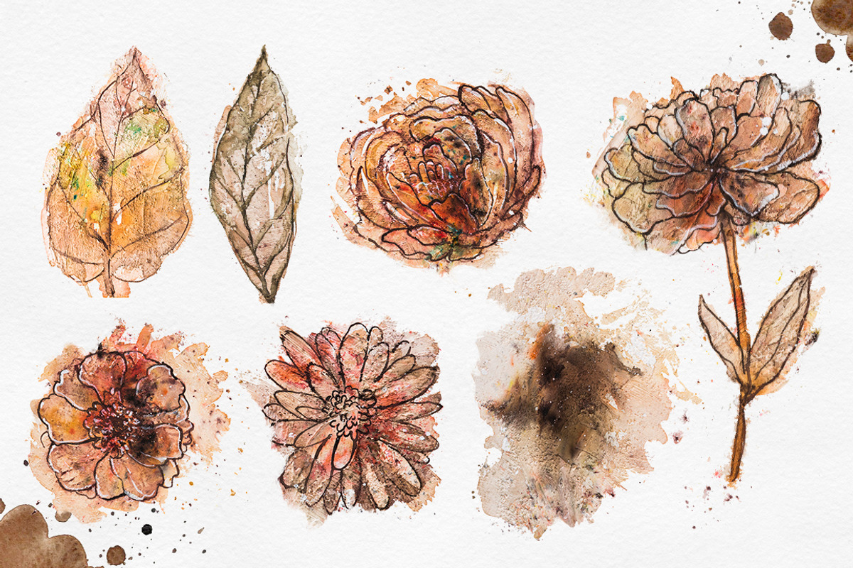 Herbarium Master Collection, a Decorative Illustration by AlexGreenArt (Photo 8 of 12)