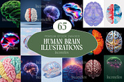 65 Human Brain Illustrations, an Object Graphic by Incomelion (Thumbnail 1 of 7)
