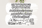 Rosemary - Elegant And Beauty Font, a Symbol Font by AQR Studio (Thumbnail 8 of 10)