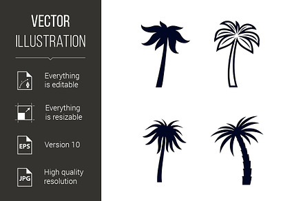 Tropical Palm Trees