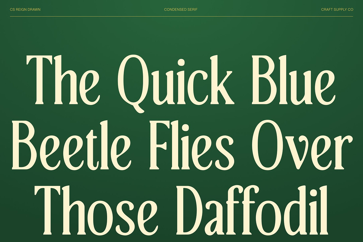 CS Reign Drawn, a Serif Font by Craft Supply Co. (Photo 6 of 8)