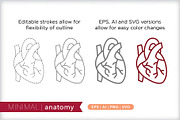 Minimal anatomy icons, an Outline Icon by Picture Window (Thumbnail 5 of 5)