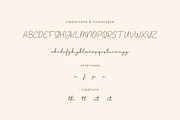 Gage Paraniy - Script Monoline Font, a Script Font by twinstd (Thumbnail 6 of 7)