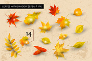 Autumn leaves vector collection, a Seasonal Illustration by VaraNa Art (Thumbnail 3 of 15)
