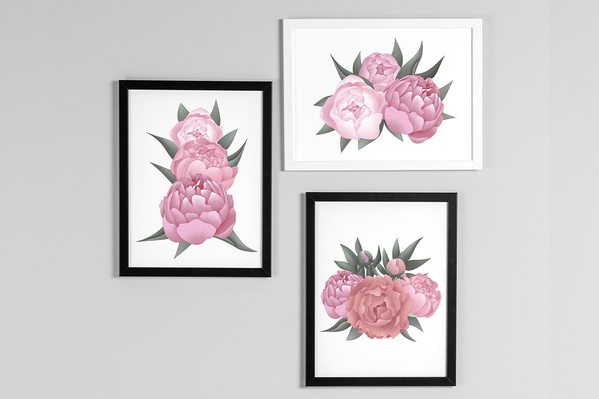 Peony Collection, a Wallpaper Graphic by sizileon (Photo 8 of 14)