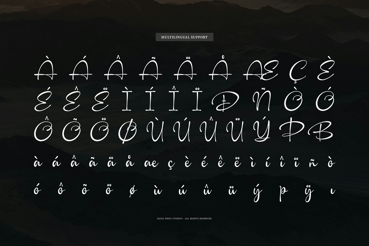 Camerelia Family | Signature Font, a Script Font by Denustudios (Photo 11 of 12)