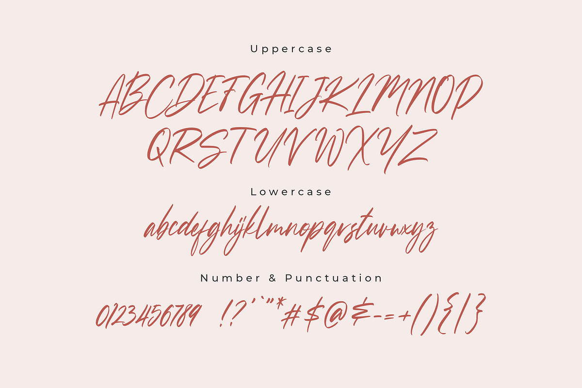 Sussane - Two Style Calligraphy Font