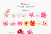 Tropical Collection Watercolor, a Decorative Illustration by Yakovleva Margarita (Thumbnail 19 of 20)
