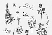 WILDFLOWERS Hand-drawn Line Art, a Seasonal Illustration by Navenzeles (Thumbnail 3 of 13)
