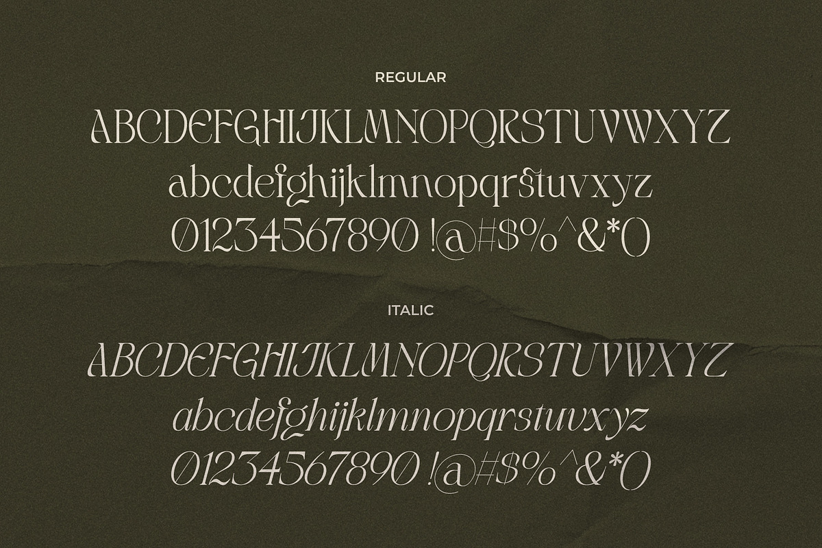 LT Rogile - Modern Serif Typeface, a Serif Font by Luminotype (Photo 16 of 20)