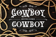 The Western Gold, a Serif Font by Burntilldead (Thumbnail 2 of 11)
