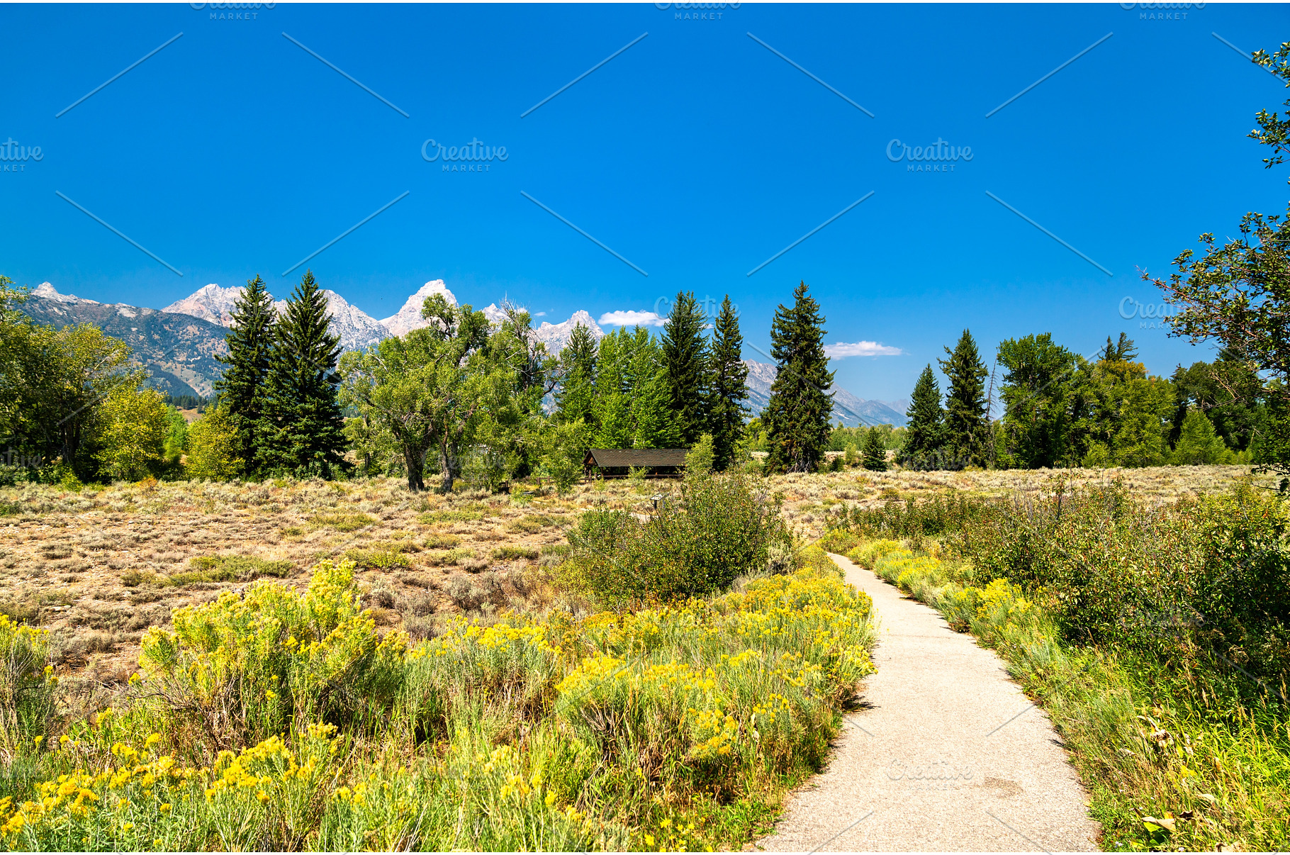 Trail through sagebrush toward Teton, a Nature Photo by Leonid Andronov