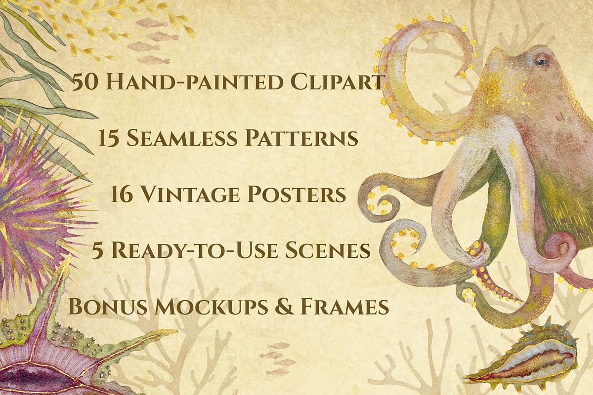Marine Naturalist Collection, a Graphic by Kattypainting (Photo 2 of 10)