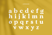Regards - Modern Retro Serif, a Serif Font by Sensatype (Thumbnail 13 of 23)