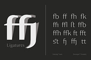 Owning Sans, a Sans Serif Font by Dora Typefoundry (Thumbnail 8 of 10)