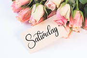 Autography | Script Font, a Handwritten Font by Scratchones (Thumbnail 4 of 9)