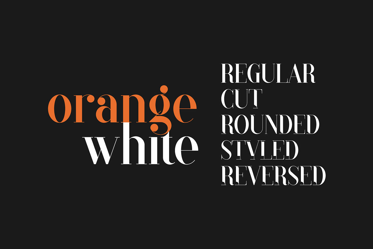 Black Goose Typeface - 5 fonts, a Serif Font by VP Fonts (Photo 8 of 15)