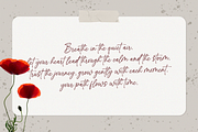 Whole - A Perfect Handwritten Script, a Script Font by MJB Letters (Thumbnail 8 of 11)