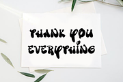 Disco, a Script Font by FreshTypeINK (Thumbnail 7 of 7)