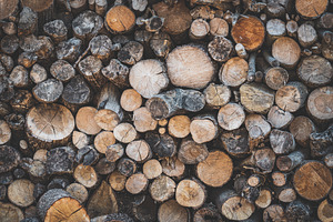 Stacked wood logs iii stock photo containing stacked wood logs and nature