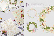 Birds and flowers watercolor clipart, a Decorative Illustration by Kate Lanbina (Thumbnail 7 of 15)