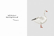Whimsical Autumn: Hand-Drawn Items, an Object Graphic by divanovskaya_nv (Thumbnail 10 of 12)