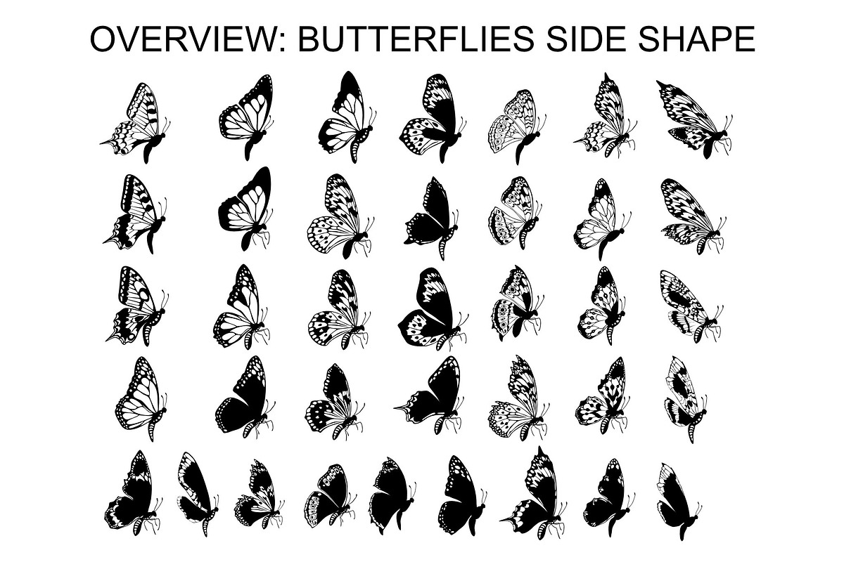 Wings & Butterfly(SVG, PNG Brushes), a Brush Add-On by xresch (Photo 14 of 22)