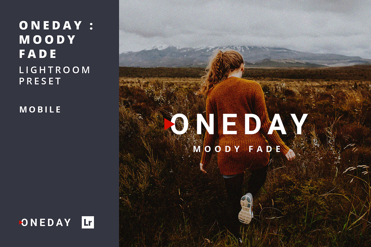 Mobile Oneday : Moody Fade Lr preset