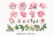 Watercolor Garden Rose Clipart, a Decorative Illustration by Jeanna Draw (Thumbnail 10 of 11)