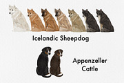 Watercolor dog breed clipart, an Animal Illustration by ColorfulPT (Thumbnail 5 of 8)