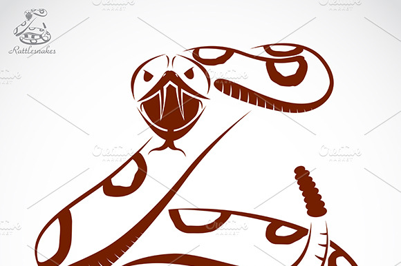 Vector Of Rattlesnake. Animals.