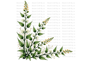 Hemlock Seed Pod, a Decorative Illustration by Bloom Craft Creations (Thumbnail 13 of 13)