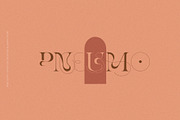 More Aloof Typeface Font, a Serif Font by Creativeqube Design (Thumbnail 12 of 14)
